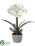 Silk Plants Direct Amaryllis, Pine Arrangement - White - Pack of 6