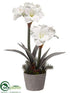 Silk Plants Direct Amaryllis, Pine Arrangement - White - Pack of 4