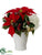 Velvet Poinsettia, Hydrangea, Holly - Red White - Pack of 6