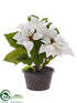 Silk Plants Direct Poinsettia - White - Pack of 2