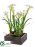 Silk Plants Direct Narcissus - White - Pack of 2