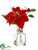 Poinsettia, Berry - Red Green - Pack of 6