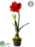 Silk Plants Direct Amaryllis - Red - Pack of 2