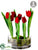 Tulip - Red - Pack of 1