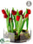 Tulip - Red - Pack of 1