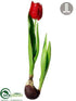 Silk Plants Direct Iced Tulip - Red - Pack of 8