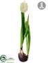 Silk Plants Direct Iced Tulip - White - Pack of 8