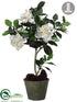 Silk Plants Direct Gardenia - White - Pack of 1