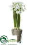 Silk Plants Direct Narcissus - White - Pack of 4