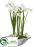 Silk Plants Direct Narcissus in Shell - White - Pack of 4