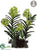 Orchid Plant - Green - Pack of 1