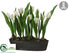 Silk Plants Direct Dutch Tulip - White - Pack of 1