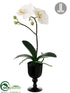 Silk Plants Direct Phalaenopsis Orchid Plant - White Green - Pack of 4