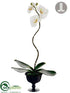 Silk Plants Direct Phalaenopsis Orchid Plant - White Green - Pack of 4