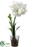 Silk Plants Direct Amaryllis - White - Pack of 1