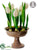 Tulip - White - Pack of 2