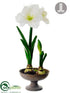 Silk Plants Direct Amaryllis - White - Pack of 2