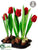Tulip - Red - Pack of 2