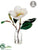 Magnolia - Beige - Pack of 6
