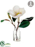 Silk Plants Direct Magnolia - Beige - Pack of 6