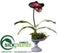 Silk Plants Direct Lady's Slipper Orchid - Purple - Pack of 6