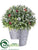 Rosemary, Berry Ball - Silver Red - Pack of 4
