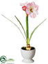 Silk Plants Direct Glitter Amaryllis - Pink - Pack of 4
