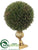 Cedar Ball Topiary - Green Gold - Pack of 2