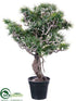 Silk Plants Direct Bonsai Pine Tree - Gray Green - Pack of 4