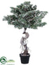 Silk Plants Direct Bonsai Pine Tree - Gray Green - Pack of 2