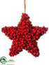Silk Plants Direct Star Ornament - Red - Pack of 12