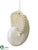 Shell Ornament - Pearl - Pack of 8
