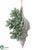 Shell Ornament - Green Gray - Pack of 12