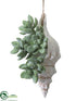 Silk Plants Direct Shell Ornament - Green Gray - Pack of 12