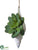 Shell Ornament - Green - Pack of 6