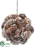 Silk Plants Direct Ball Ornament - Whitewashed - Pack of 6