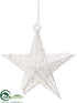 Silk Plants Direct Star Ornament - Clear - Pack of 12