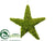 Moss Star Ornament - Green - Pack of 6