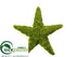 Silk Plants Direct Moss Star Ornament - Green - Pack of 6