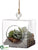 Echeveria, Pine Cone Glass Ornament - Green - Pack of 4