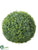 Sedum Ball Ornament - Green Two Tone - Pack of 4