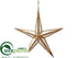 Silk Plants Direct Star Ornament - Gold Antique - Pack of 12