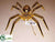 Spider - Gold - Pack of 12