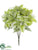Poinsettia Bush - Green Metallic - Pack of 6