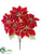 Poinsettia Bush - Red Gold - Pack of 6