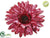 Glitter Gerbera Daisy - Fuchsia - Pack of 12