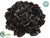 Sequin Peony - Black - Pack of 6