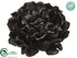 Silk Plants Direct Sequin Peony - Black - Pack of 6