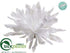 Silk Plants Direct Iced Cactus Flower - White - Pack of 12