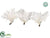 Pearl Feather Flower - White Glittered - Pack of 6